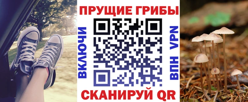 гидра рабочий сайт  Чусовой  Псилоцибиновые грибы прущие грибы  цены наркотик 